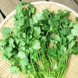 ディップで食べる？「パクチー味」の新ポテチにパクチー好きが歓喜！