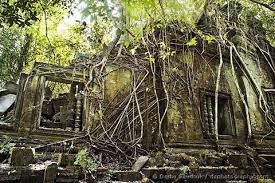 【東京湾のラピュタ】横須賀沖の無人島「猿島」が１日７万円で貸し切り可能！ 横須賀中央駅から約30分：コメント1