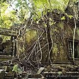 【東京湾のラピュタ】横須賀沖の無人島「猿島」が１日７万円で貸し切り可能！ 横須賀中央駅から約30分