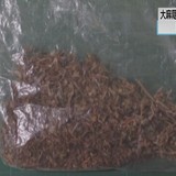 産業用大麻を許可栽培していた会社の代表を非許可乾燥大麻を所持していた容疑で逮捕