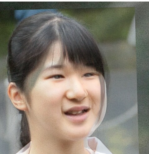 愛子さま、"激ヤセ"の原因は「公務の重圧」かダイエットによる「拒食症」か:コメント17