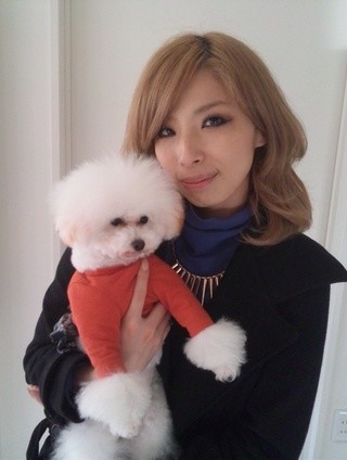 風俗嬢の写メ：コメント3403