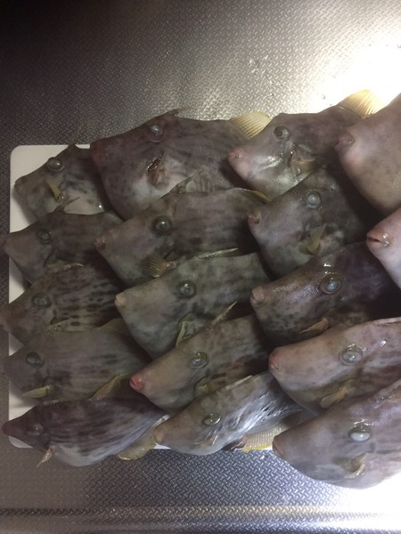 風俗嬢の写メ：コメント3473