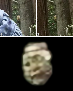 りゅうちぇるの背後に未確認生物（UMA）か　「ネット騒然写真」を心霊研究家が鑑定：コメント24