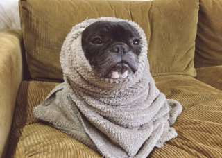 風俗嬢の写メ：コメント3505