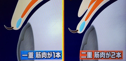 æåäººã®å¹¼å°æç»åï¼ã³ã¡ã³ã445