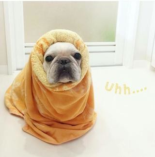 é¢¨ä¿å¬¢ã®åã¡ï¼ã³ã¡ã³ã3648