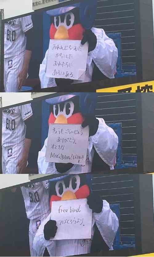 å è¤ç´éãé«ç´ã¿ã¯ã¼ãã³ã·ã§ã³ãè²·ã£ã¦ãããã¾ãããæã®å·£ã¨ãã¦ãï¼ã³ã¡ã³ã44