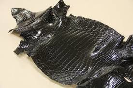 ã¯ã­ã³ãã¤ã«ã«å¼·å§¦ããããã¨ããï¼äººã®ç·ãæ­»äº¡ï¼ã³ã¡ã³ã43