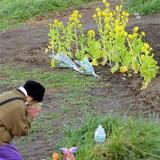 川崎中１殺害　「この手で敵を取ってやりたい」上村さん父、声を荒らげ意見陳述