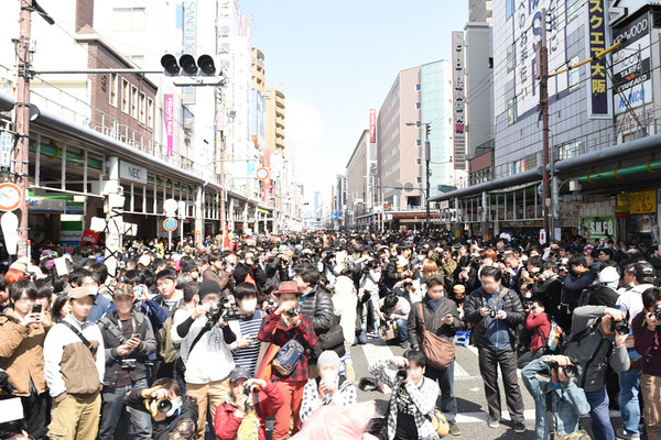 日本橋がコスプレで埋め尽くされる! 25万人が集結! 「第12回 大阪ストリートフェスタ」開催:コメント1