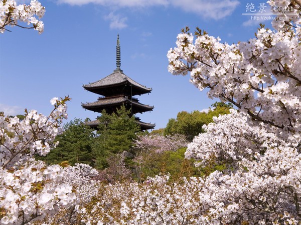 349日連続勤務、1か月の時間外労働は最長約240時間:コメント1