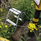 心ない「撮り鉄」来ないで　真岡鉄道が異例の警告