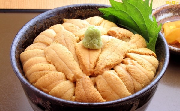 ãã¯ãã«ã®ããã¨æ¨ããã®ï¼ã³ã¡ã³ã79