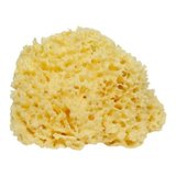 生理中のAV女優