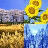 春夏秋冬どれが好きですか？