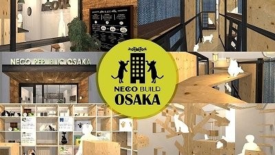 猫好きによる猫のための猫助け施設「ネコビル」誕生　大阪・心斎橋：コメント1