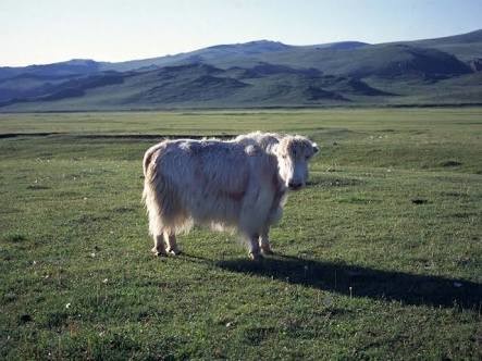 元AV女優・紅音ほたるが急逝していた：コメント30