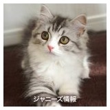 SMAP解散で「ジャニーズの女帝」メリー副社長にファンからの抗議が殺到、心労で緊急入院