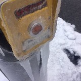 お、押せない...！ ボタンが「アレ」に封じられた信号機