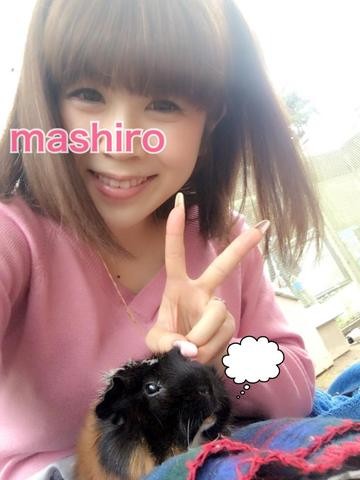 é¢¨ä¿å¬¢ã®åã¡ï¼ã³ã¡ã³ã4233