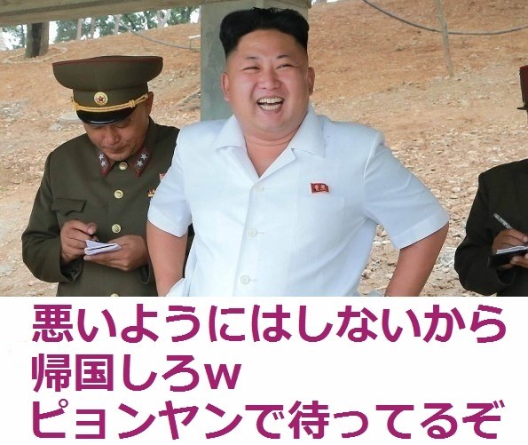 ãåãåæé®®ã¨ã®æ¦äºãåå¯¾æ´¾ï¼è³ææ´¾ï¼ï¼ã³ã¡ã³ã213