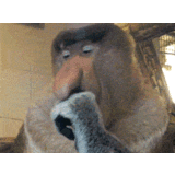 女の理想とするチンポのサイズがこれ