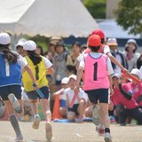 小中学校の運動会、個人情報の問題でカメラ持ち込み禁止校も