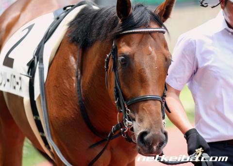 英王子が米女優と婚約=来春挙式、相次ぐ慶事:コメント2