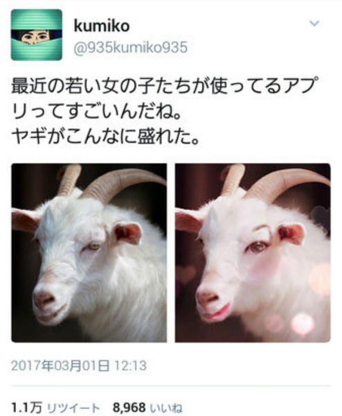 ã¦ã±ãç»åwï¼ã³ã¡ã³ã112