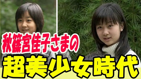 皇宮警察の巡査部長、児童ポルノ所持容疑で書類送検：コメント5