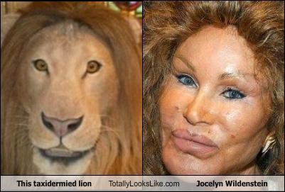 やたら、世間が美人だというと整形だ豊胸だと敵のように騒ぐ人って：コメント16