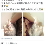 ダレノガレさんのTwitterに投稿した画像に乳首らしきもの→速攻で否定し画像削除