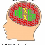 一番エッチな恐竜の名前考えたやつが優勝