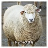 「ファンはジャガイモ」KAT-TUN中丸雄一の裏の顔は