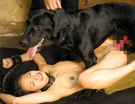 5つの異常から見る「異常性行為」 脳疾患が原因の場合も【医師解説】：コメント5