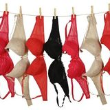 女のブラジャー選択頻度の統計がでたでぇー