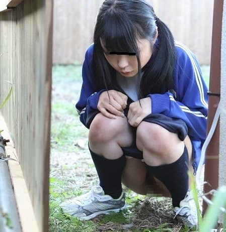 女子児童に「お金を払うからおしっこ見せて！」　放尿を見たがる変態男、 西東京市に出没中：コメント1