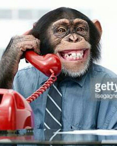 「金正恩は良いことをしている」サンデーモーニングの暴走がヤバイ：コメント6