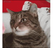 ★今さらながら人に聞きたい些細な事は？★