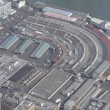 大量のネズミ 築地市場から拡散のおそれ 周辺地域は戦々恐々