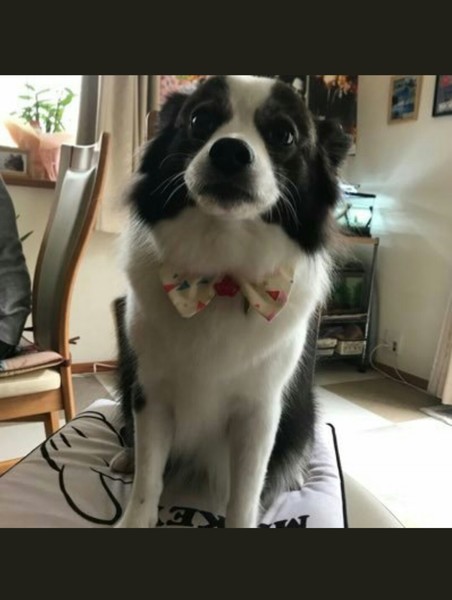 精液を売って生計を立ててる健太くん、意地悪な女の子にもて遊ばれ怒るï¼ã³ã¡ã³ã307