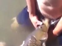 コイキングキスってなんだ(´・ω・`)?：コメント15