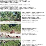 とある女社会の島では男女の立場が逆転していて、男は大勢の女に慰み者にされてしまうんだ