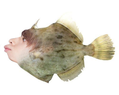 「グッディ」やり過ぎ!? 「性的暴行」東大生を"カワハギ似"容姿イジリの波紋：コメント32