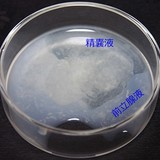 女を養うメリット  養わないデメリット