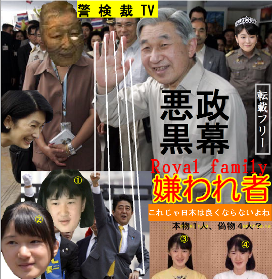 天皇陛下「国民に感謝」85歳の誕生日で天皇として最後の会見：コメント39