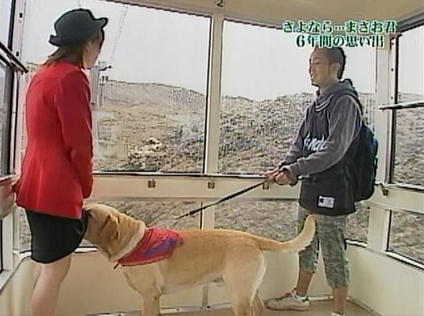 ウケた画像w：コメント879