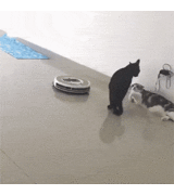 クレジットカードのポイント