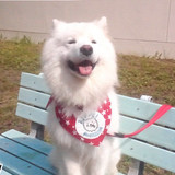 日テレ『ZIP！』に「超わいせつ行為」映る放送事故…　「狙ってやってる」「東京嫌だ」の声